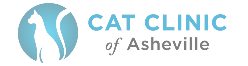 Cat Clinic of Asheville - Your Cat Veterinarian